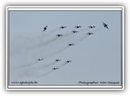 Jaguar formation_5